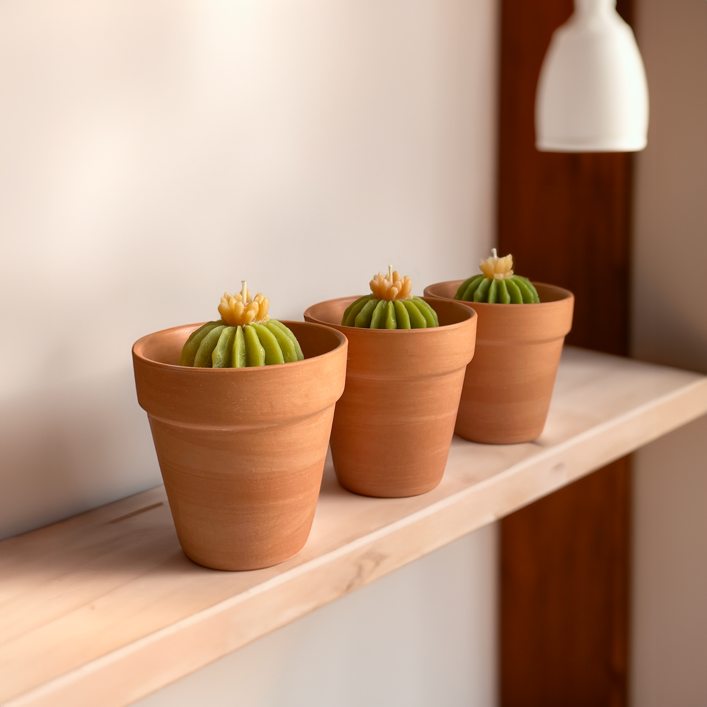 Bamboo + Melon // Terracotta Planter Kaktus Kandela