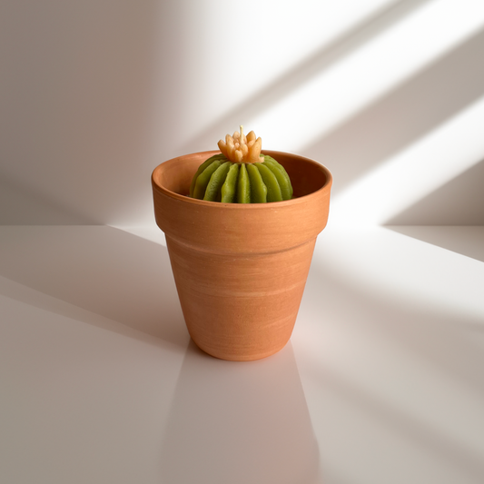 Bamboo + Melon // Terracotta Planter Kaktus Kandela